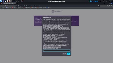 700$ Bounty || XSS || EXPLOIT || POC