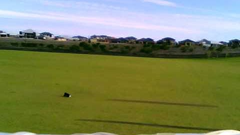 EFlite Apprentice at BurnsBeach