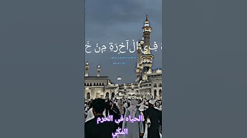 #الشيخ  الجليل سيد سعيد بصوت رخيم يتلو آيات تشرح الصدر#اسلاميات #راحة_نفسية #ارح_قلبك #المصحف #لايك
