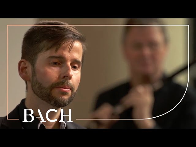 Bach - Cantate:Jesu, der du meine Seele