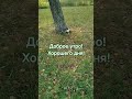 Мир прекрасен! Осень в деревне!