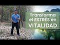 Como transformar el ESTRES en VITALIDAD Y sentirte MUY BIEN 😀