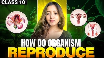 HOW DO ORGANISMS REPRODUCE - Class 10 Science | QUICK REVISION + MCQs | Line by Line NCERT #biology