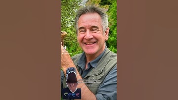 The Steve Irwin of Dinosaurs, Nigel Marven