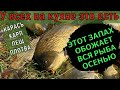 ЭТО МАНИТ РЫБУ СО ВСЕГО ВОДОЕМА. СУПЕР АТТРАКТАНТ ДЛЯ РЫБАЛКИ. АКТИВАТОР КЛЕВА. Дип для рыбалки.