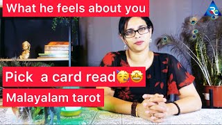 Tarot/ What he feels about you/ pick a card