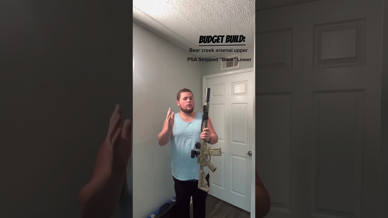 Best budget build AR to get training with! 