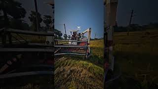 gam harvastar paddy cutting foryou come to field youtube channel 🌾 farming paddyharvest agriculture