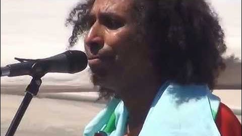 Eritrean Musician Geneva June 23rd 2016 Sead Assab