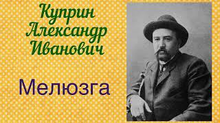 Мелюзга. Куприн Александр Иванович. Рассказ. Аудиокнига.