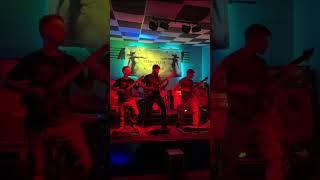 Terriculum Avium - Dancing Squirrel