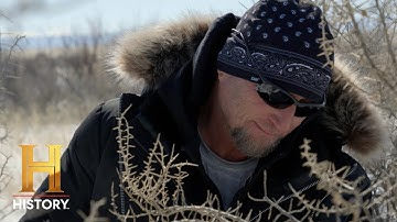 Unexplained Cattle Mutilations | Beyond Skinwalker Ranch | Exclusive (Season 1) | History