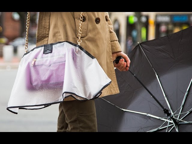 louis vuitton handbag raincoat