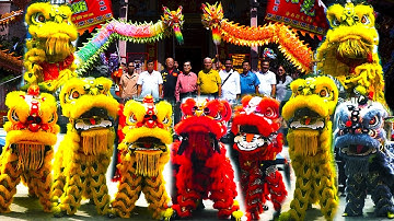 Múa Lân Khai Quang Điểm Nhãn Lân Sư Rồng lần 16 / LSR Hải Nam Hào Quang giỗ Tổ Huê Quang Đại Đế 2025