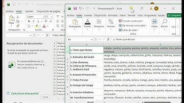 Cómo Crear Sopas de Letras Automáticas con Excel y ChatGPT | Generador de Sopas Paso a Paso