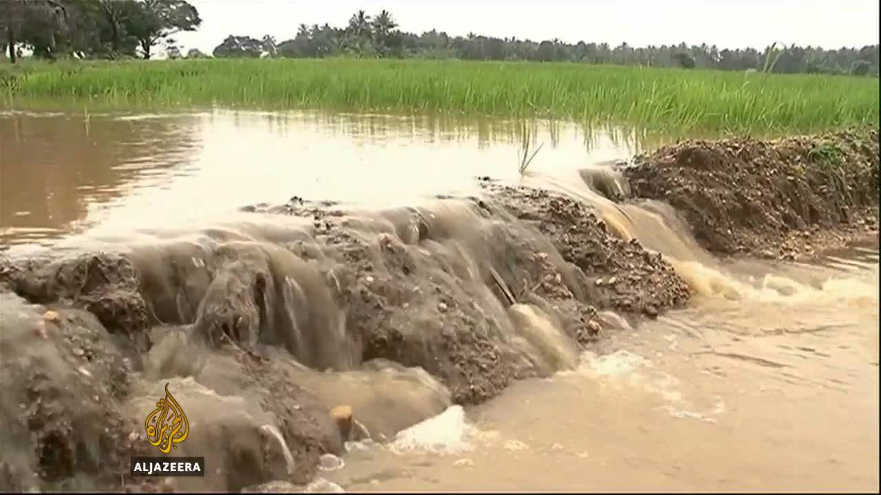 عاصفة شديدة تدمر حقول الأرز في سريلانكا - قناة الجزيرة البلقان