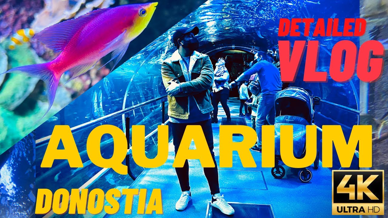 Aquarium Donostia San Sebastián 4K Vlog #BasqueCountry