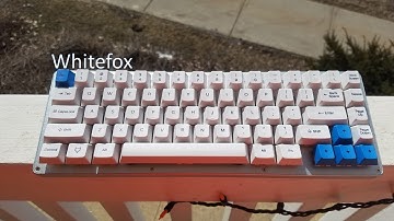 Input Club Whitefox Vera