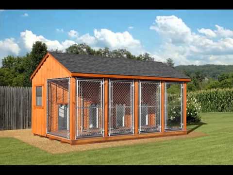  Home  Dog Kennel  Ideas  Awesome Home 