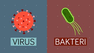 Virus vs Bakteri - Apa Bedanya?