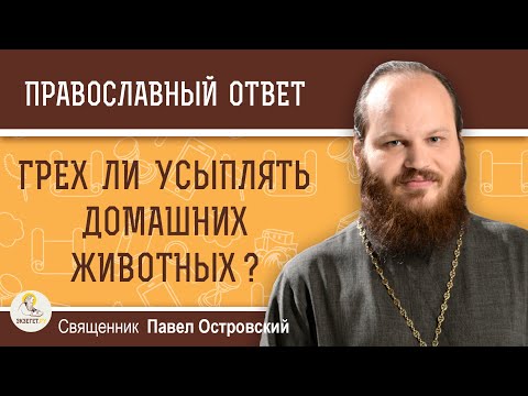 ГРЕХ ЛИ УСЫПЛЯТЬ ДОМАШНИХ ЖИВОТНЫХ ?  Священник Павел Островский