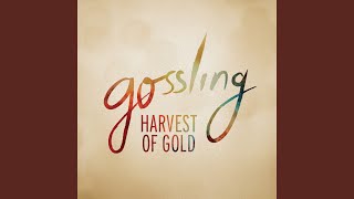 Harvest Of Gold (Yes You Remix)
