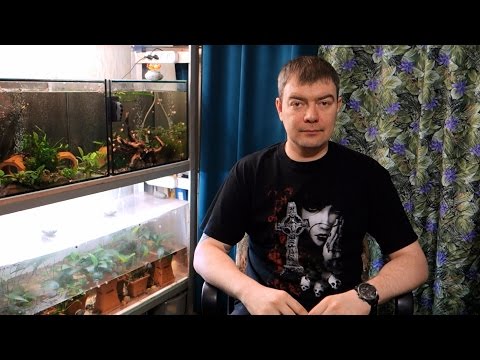 Как перевозить рыбок зимой из магазина
