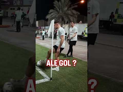 BIELIK, SZCZĘSNY I