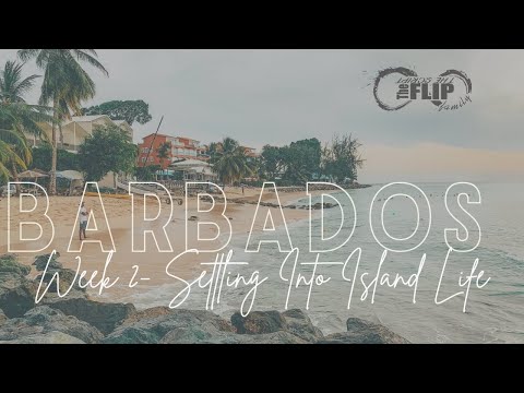 Video: Barbadose Puuvillane Taim