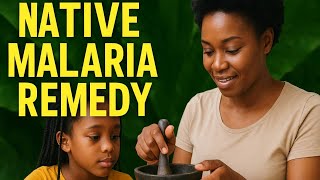 How To Make Native Medicine For Malaria African Herbal Remedy Step By Step