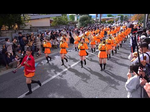 京都橘高校吹奏樂部  2024長岡京ガラシャ祭り遊行  完整遊行過程