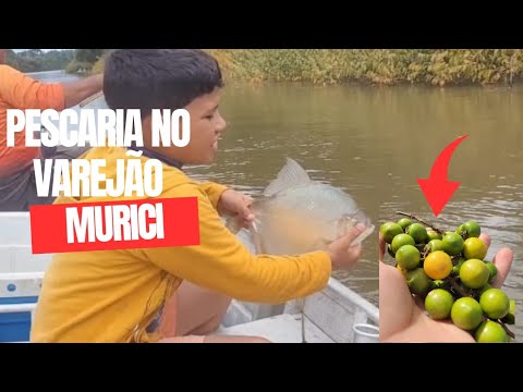 Pescaria de pacu no varejão de bambu fruta murici #rioxingu #pescaria #pesca