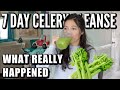 I drank CELERY JUICE for 7 Days and this is what happened... Kidney transplant recipient! 2020!