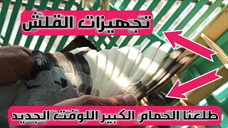 تجهيز الحمام الزاجل للقلش لموسم 2022