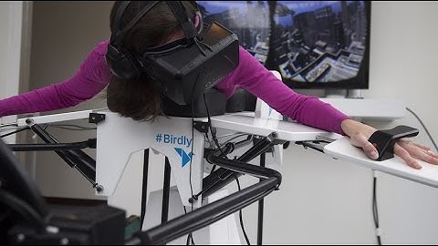 Flying the Birdly Virtual Reality Simulator