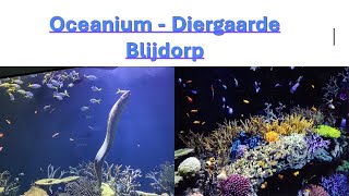 Oceanium - Diergaarde Blijdorp - Rotterdam - 360 Video- one of the most beautiful zoos in Europe.