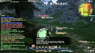 FFXIV 1.0 Gameplay Downy Dunstan NM Duo