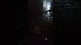 The raining in night time @MrBeast #sonargaon #viral #village #shorts #rain #sad #eid#eidmubarak