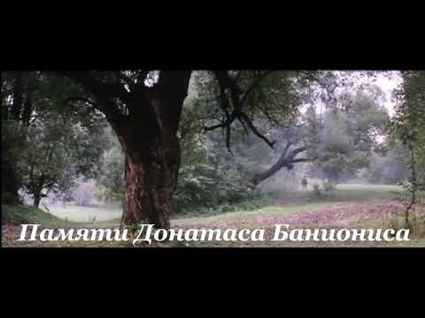 Артемьев бах солярис