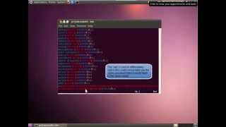 Password Auditing