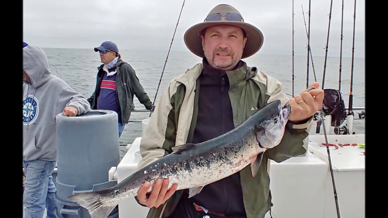 Westport Salmon Fishing YouTube