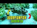 Encounter with Devil Scorpionfish During Scuba Dive