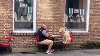 Dog Chilling In His Own Seat At A Cafe With Dad
