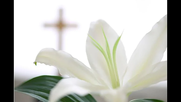 Funeral of Joseph DiMarco