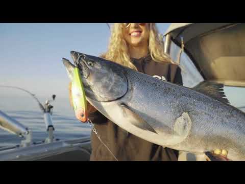 Herring Cutbait | Choosing the Right Colors