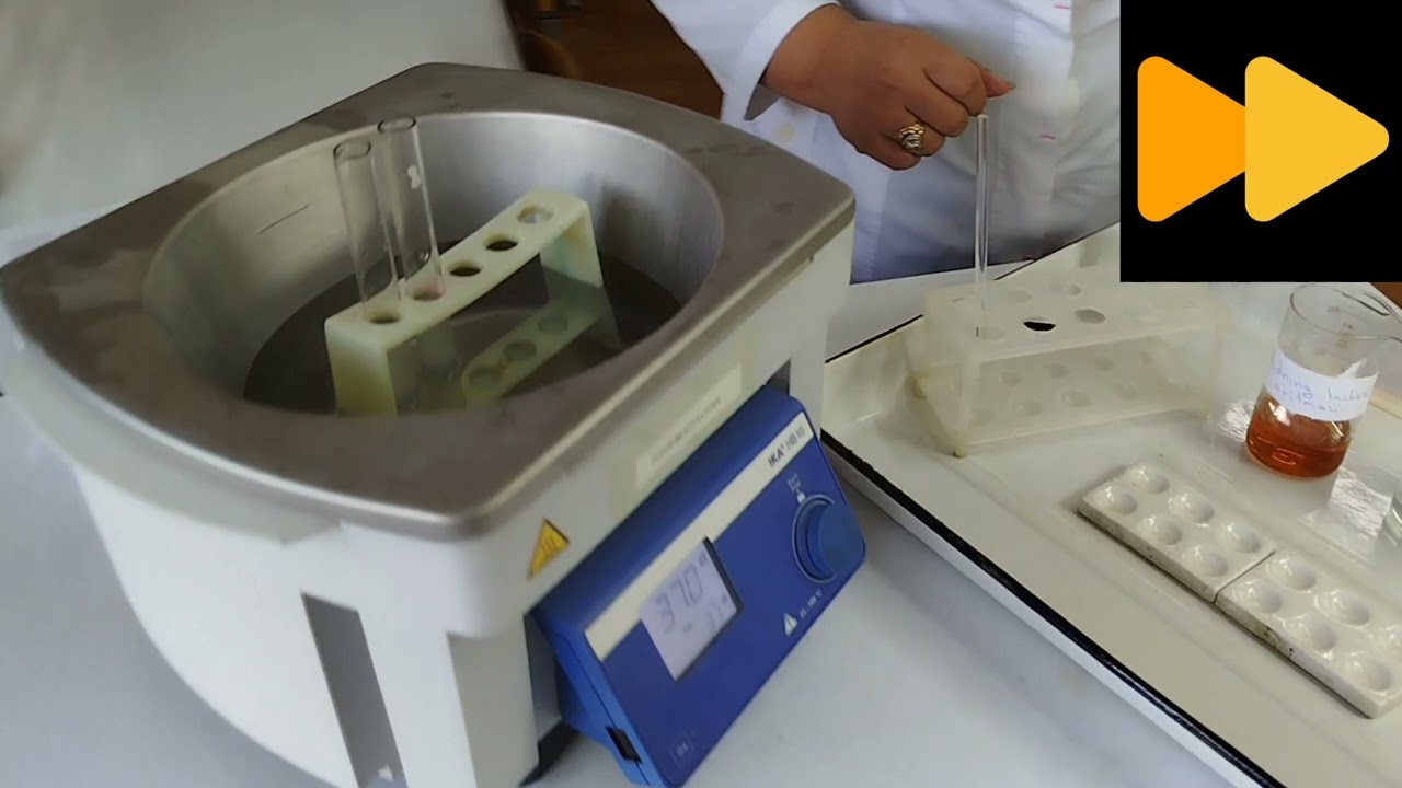 Kraxmalni amilaza fermenti yordamida gidrolizlash