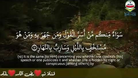 { اللَّهُ يَعْلَمُ مَا تَحْمِلُ كُلُّ أُنثَىٰ وَمَا تَغِيضُ الْأرحَام ومَا تَزداد}[ سورة الرعد : 8 ]
