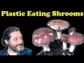 Mushrooms Will Save The World! - Plastic Eating Mushrooms