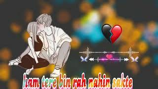 ham tere bin rah nahin sakte!! Bollywood DJ mix song