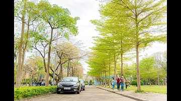 Hướng dẫn tạo bài giảng video tương tác - h5p